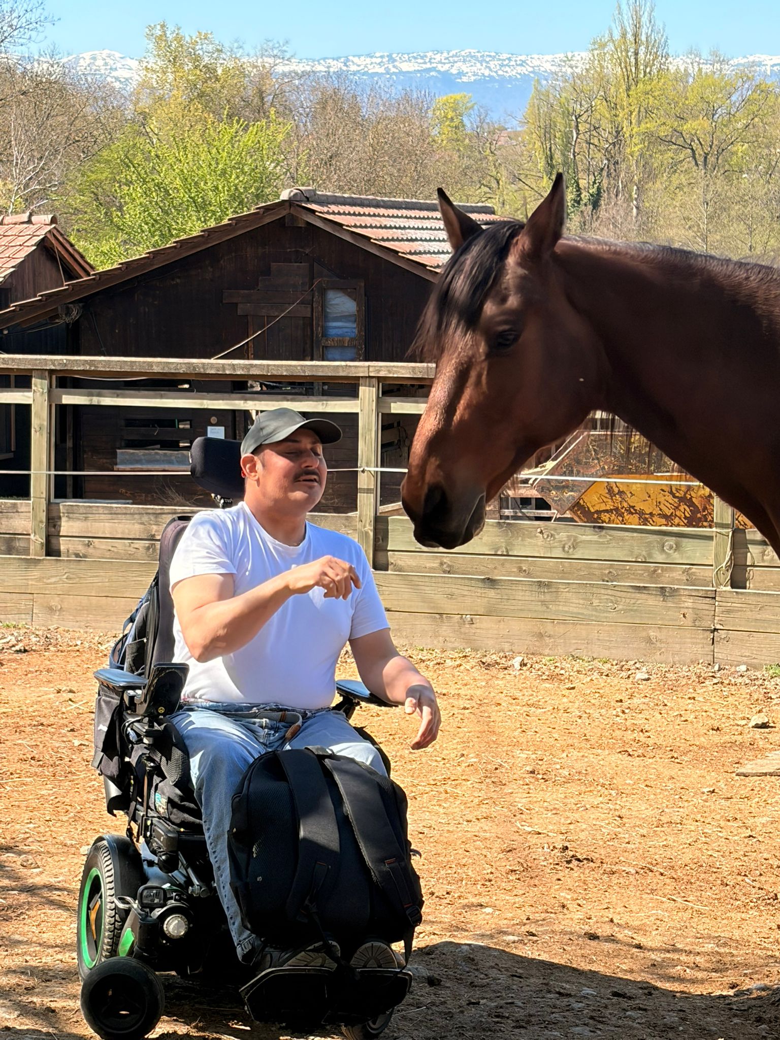 rencontre avec les chevaux
